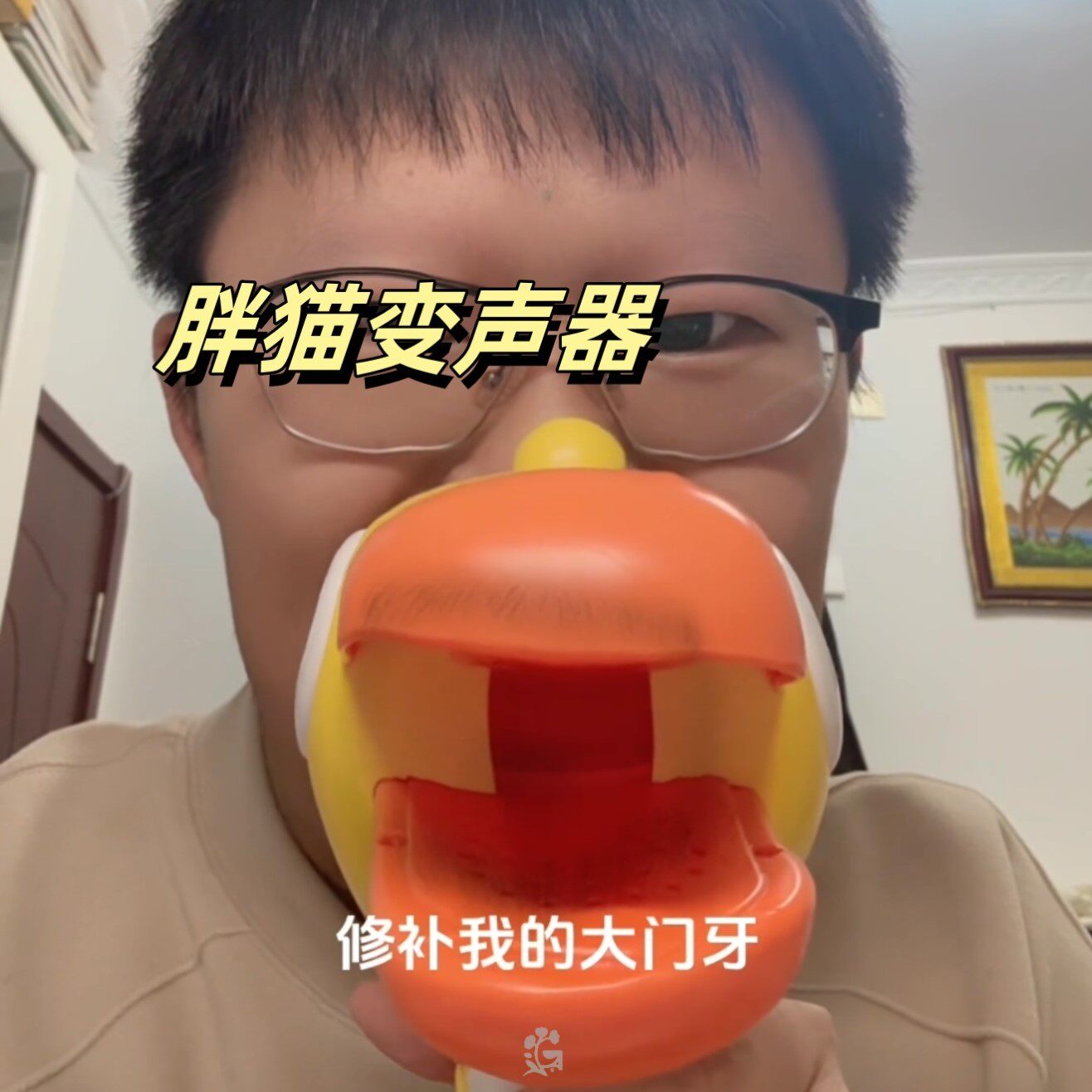 胖猫变声器创意发声扩音器小喇叭恶搞搞怪玩具可吹唱歌麦克风玩具