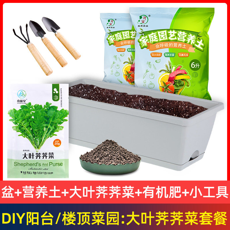 阳台菜园种菜套餐种多少钱 阳台菜园种菜套餐种优惠券免费领取 有条鱼