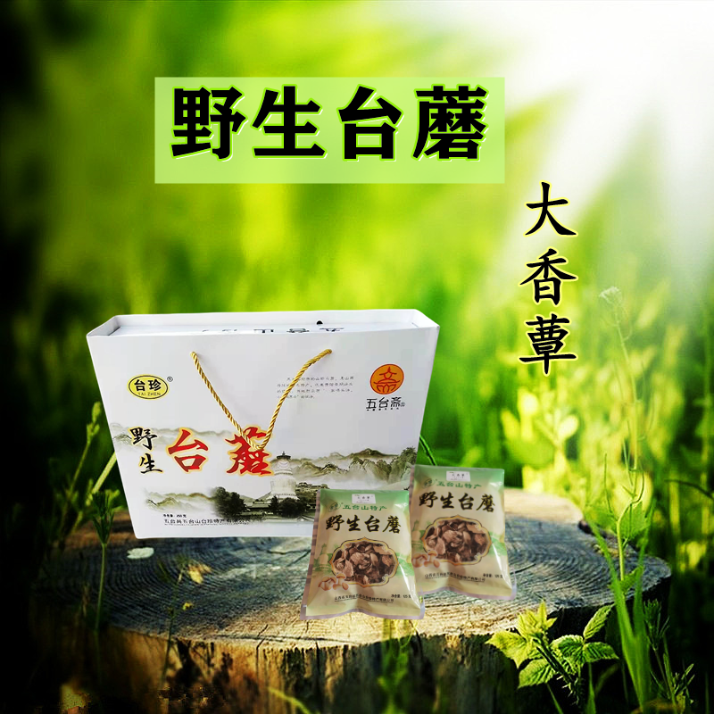 山西特产五台山野生台蘑台珍大香蕈蘑菇干货香菇礼盒包邮