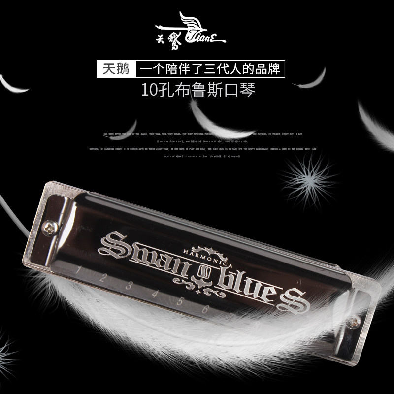天鹅10孔口琴布鲁斯十孔c调学生儿童成人准专业初学者口风琴 乐器