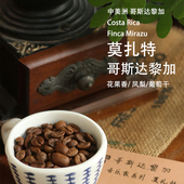 莫扎特 中烘黑咖啡豆 哥斯达黎加音乐家系列蜜处理手冲冷萃SOE意式