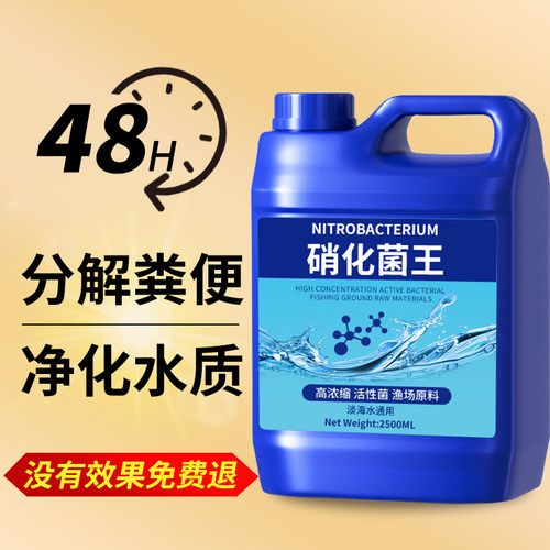 硝化菌养鱼用净水剂活菌锦鲤鱼池净化水质稳定剂鱼缸用消化细菌液