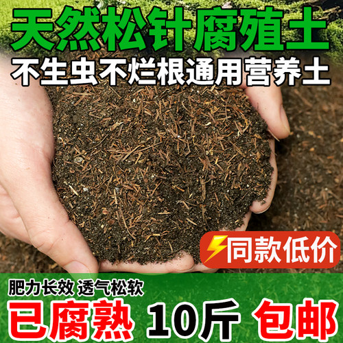 松针腐殖土营养发酵君子兰