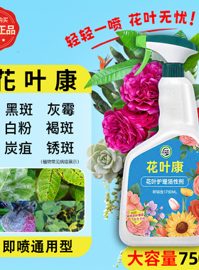花叶康喷雾花病康活性剂月季玫瑰花卉多肉专用灰霉叶斑黑斑白粉