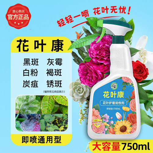 花叶康喷雾花病康活性剂月季玫瑰花卉多肉专用灰霉叶斑黑斑白粉