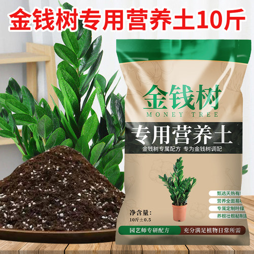 金钱树专用营养土叶绿杆粗根好