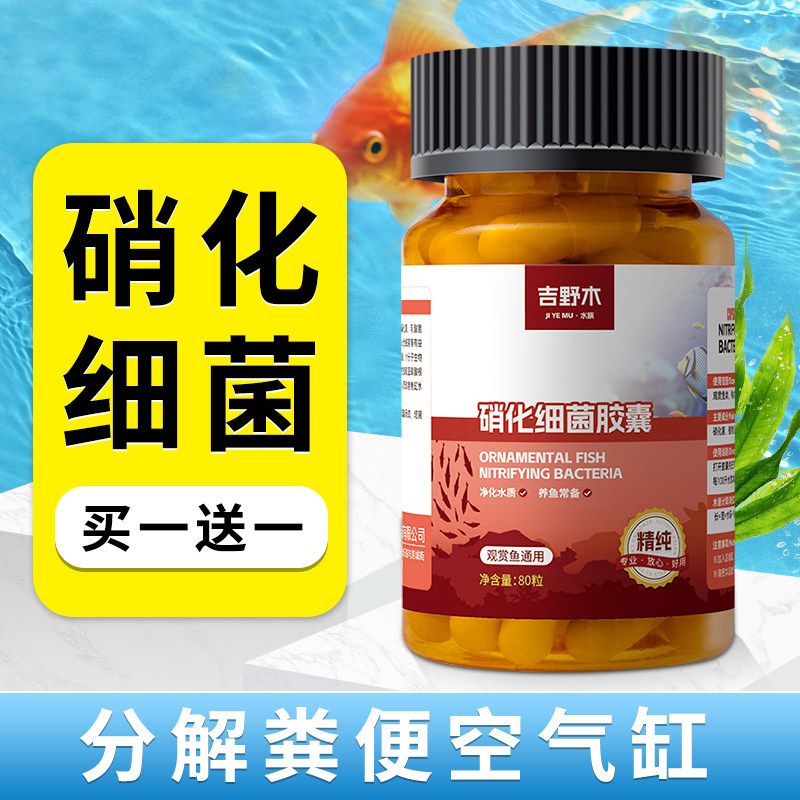 硝化细菌鱼缸用专用胶囊净水剂颗粒活菌干粉水质稳定净化水族鱼用,宠物/宠物食品及用品,硝化细菌,淘宝优惠券,粉丝福利购,淘宝优惠卷