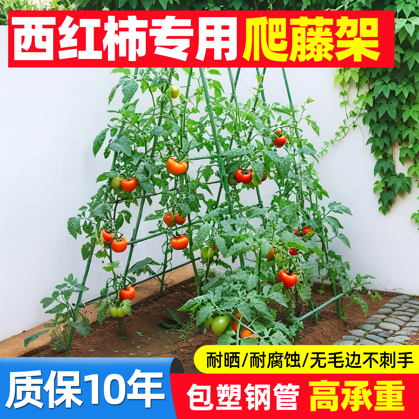 西红柿爬藤架葡萄黄瓜豆角架植物支撑杆种菜花支架园艺户外庭院架