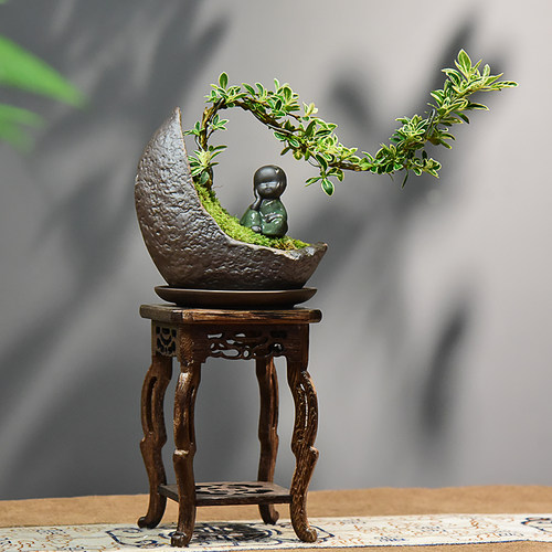 金边六月雪桌面茶桌飘枝造景意境