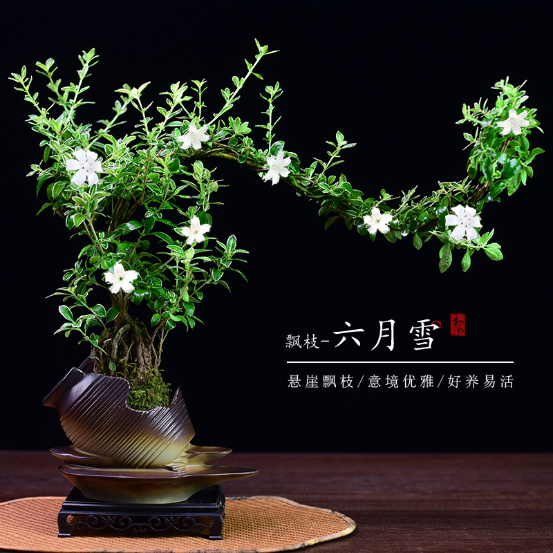 六月雪书房客厅办公室茶几桌面