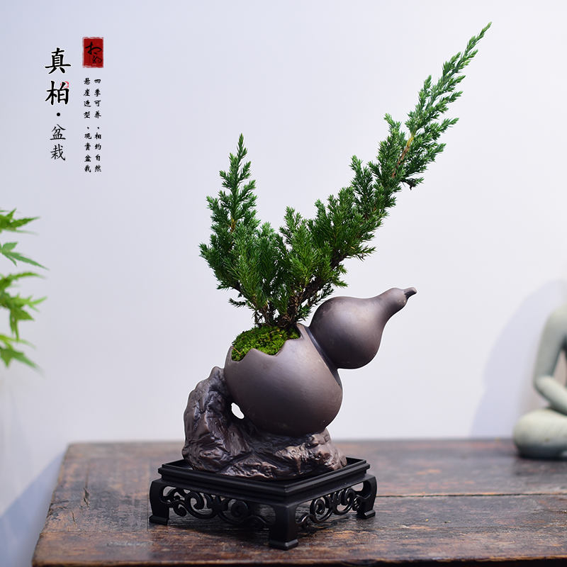 真柏书房客厅办公室茶几桌面