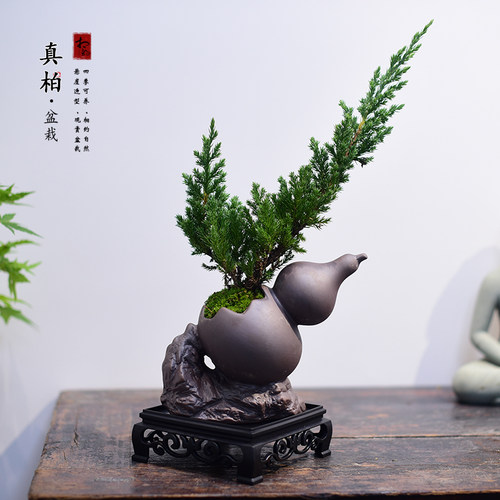 真柏书房客厅办公室茶几桌面