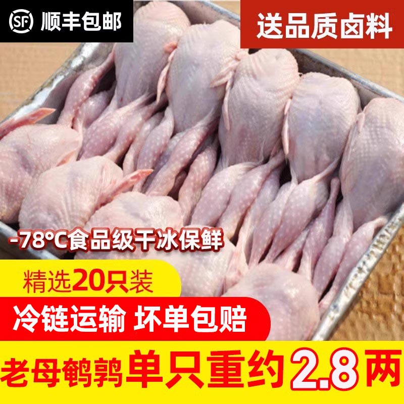 新鲜大号母鹌鹑肉冷冻鹌鹑白条新鲜炖汤红烧油炸烧烤生骨肉20只-封面