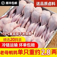 新鲜大号母鹌鹑肉冷冻鹌鹑白条新鲜炖汤红烧油炸烧烤生骨肉20只