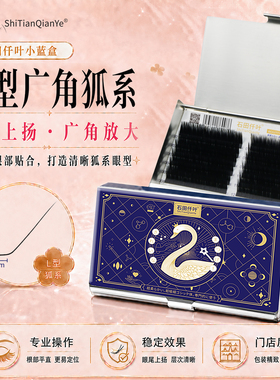 石田仟叶L型广角狐系山茶花睫毛