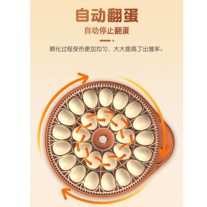 WONEGG新款孵化器自动控温控湿智能孵化器鹦鹉鸡鸭鸟类自动孵蛋器,宠物/宠物食品及用品,鸟类孵化器/繁殖箱,淘宝优惠券,粉丝福利购,淘宝优惠卷