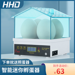 4枚 HHD 迷你孵化器鸡鸭乌龟鸟蛋小型孵蛋器家用型自动恒温孵化