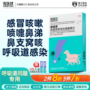 宠医到朗速诺消炎片猫咪感冒药阿莫西林克拉维酸钾宠物狗狗咳嗽药