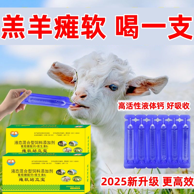 羊羔犊牛瘫软灵救命液软骨补钙