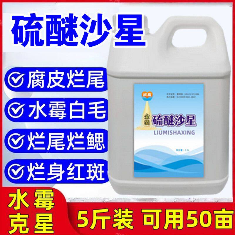 水产养殖高浓度强效鱼药硫醚沙星鱼用水霉专治鱼病药高浓度原液