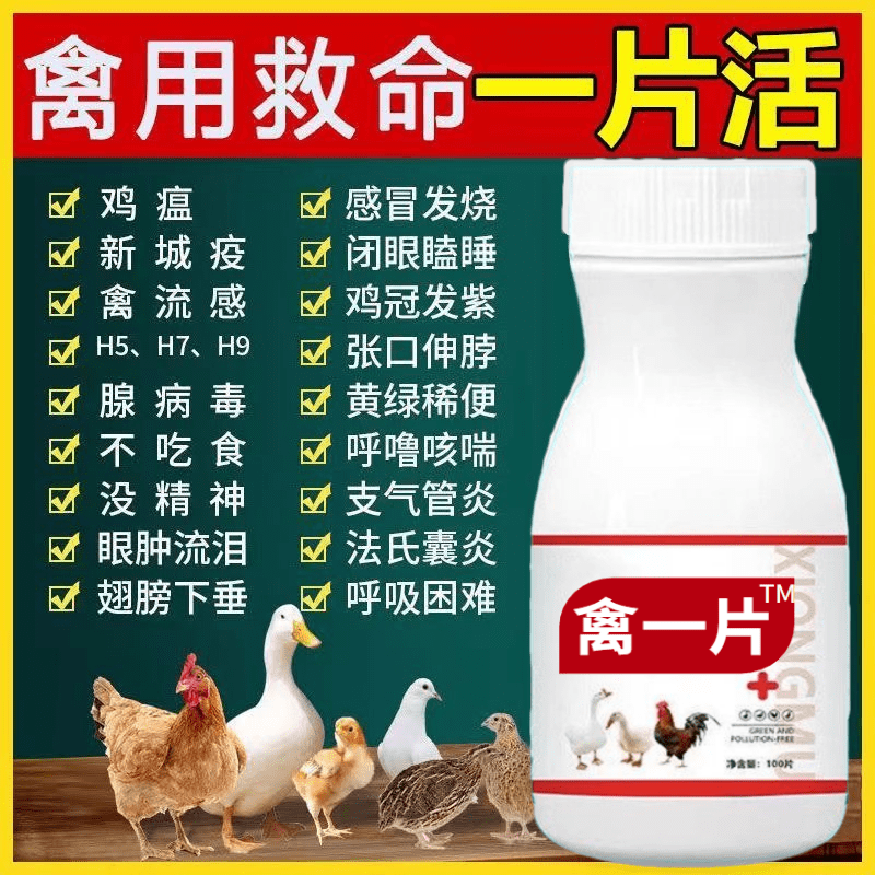 禽一片家禽感冒鸡瘟发烧呼噜拉稀