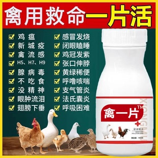 禽一片养鸡专用药鸡病全治救命药家禽感冒拉稀发烧呼噜流感鸡鸭鹅
