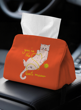 橘底玩线猫车用纸巾盒车载纸巾盒车载式扶手箱抽纸盒宠物定制A19