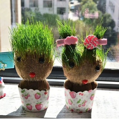 抖音同款草头娃娃创意迷你小绿植室内盆栽植物W幼儿园儿童小礼gu
