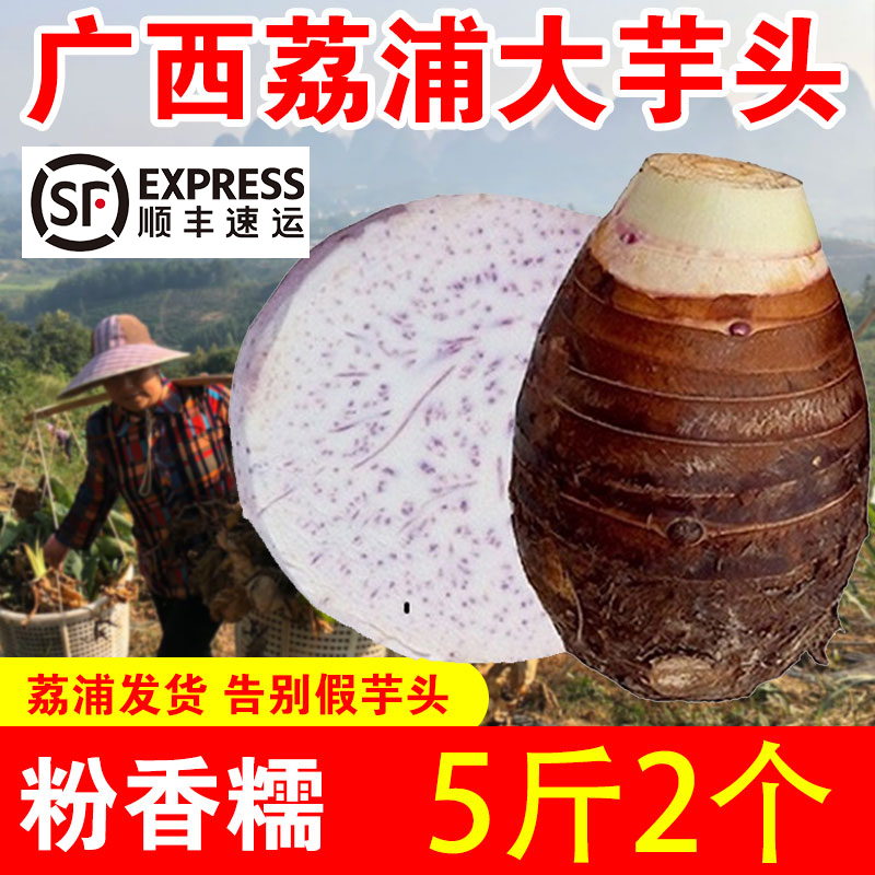荔浦大芋头5斤广西特产现挖香芋新鲜蔬菜槟榔芋紫藤芋毛芋头免邮