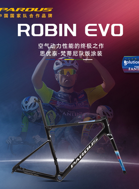 PARDUS瑞豹ROBIN EVO车架组vini fantini队版化气动碳纤维公路车