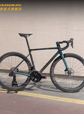 瑞豹22款ROBIN EVO DISC-105 Di2电变碳纤维轻量化公路车自行车