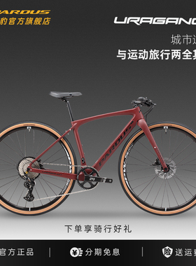 PARDUS瑞豹飓风URAGANO F碳纤维12速平把瓜车砾石公路Gravel