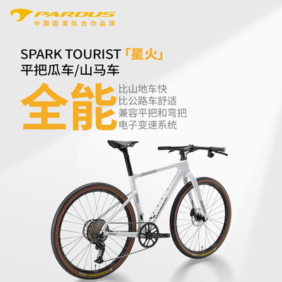 瑞豹山马车平把碳纤维公路车