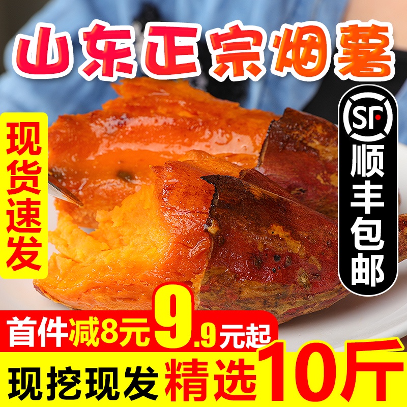 山东红心流油烟薯糖心蜜薯新鲜番薯农家沙地红薯25号地瓜5斤山芋