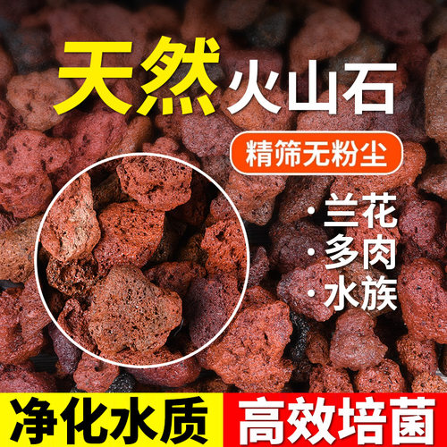 天然火山石红色火山岩颗粒水族鱼缸石材料过滤水垫底造景多肉铺面