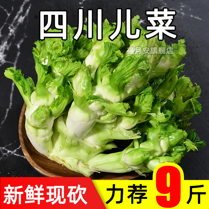 新鲜现砍四川儿菜母抱儿当季蔬菜9整箱包邮农家泡菜咸菜原料耳菜