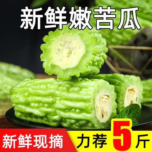 福月安现摘新鲜刺苦瓜现摘现发