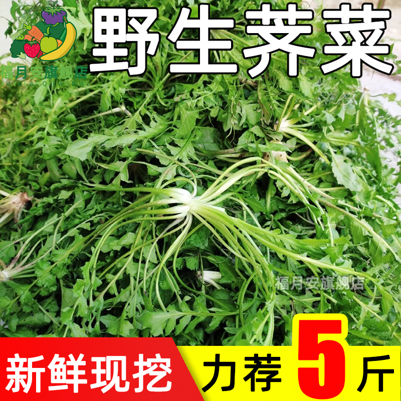 新鲜荠荠菜野生荠菜福月安