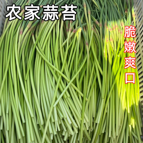 收藏下单 优先发货