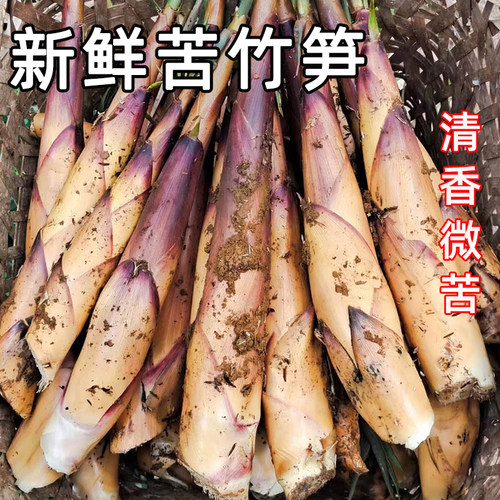 四川宜宾苦竹笋正宗新鲜春笋嫩带壳甜笋子野生现挖农家特产蔬菜