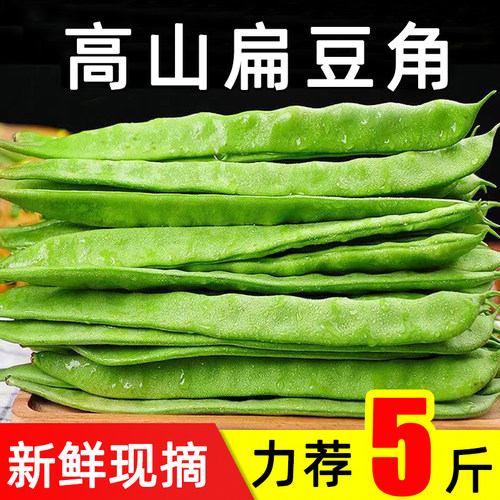 四季豆新鲜现摘云南农家扁豆角