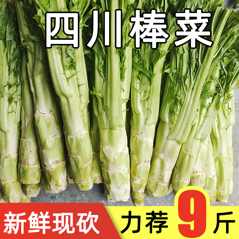 福月安四川棒棒菜新鲜现砍