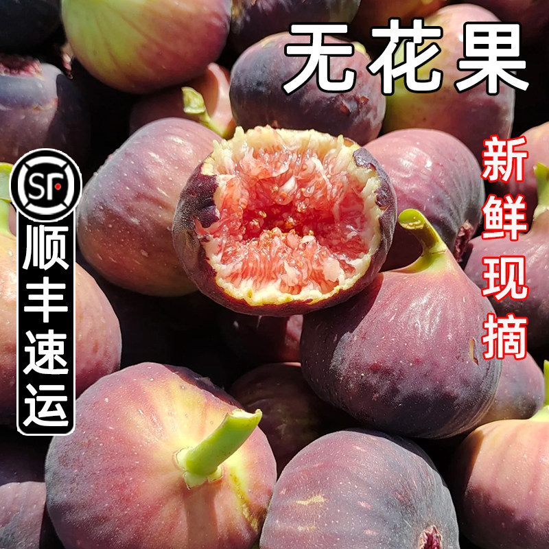 顺丰紫红皮无花果新鲜现摘水果甜蜜当季农家青红皮甜果树上熟整箱