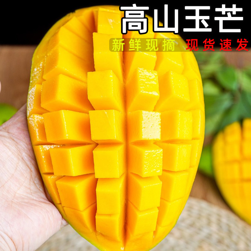 ������ժ��â������Ƥ��â���ϸ�ɽ��Ӧ��ˮ�������ȴ���â������ 0.5�� ���й����ԳԳ��ʣ� 2.9Ԫ