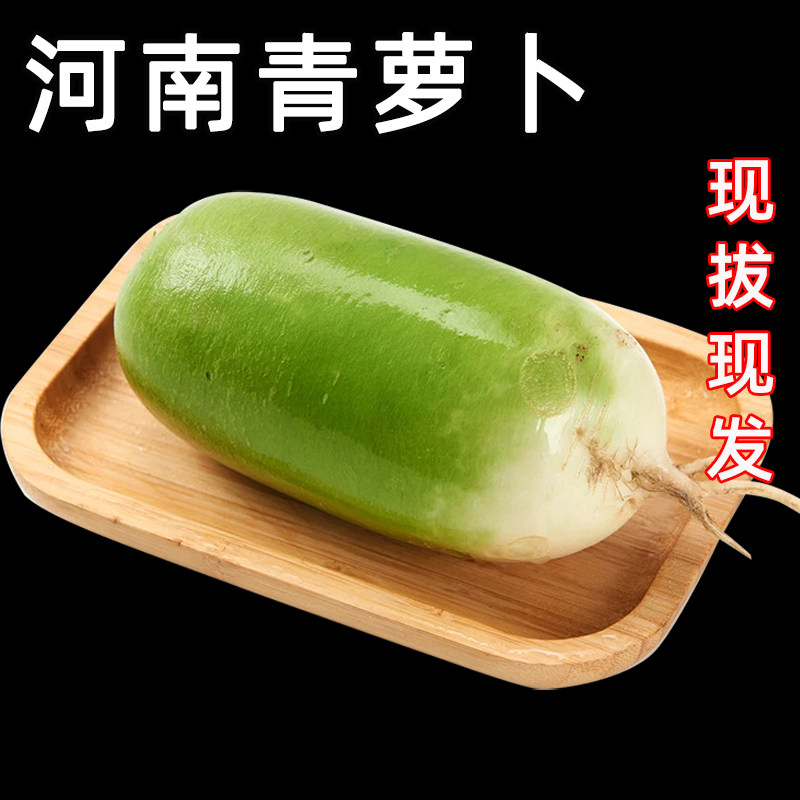 新鲜现拔河南青萝卜绿皮白心长萝卜当季农家蔬菜凉拌沙地萝卜整箱