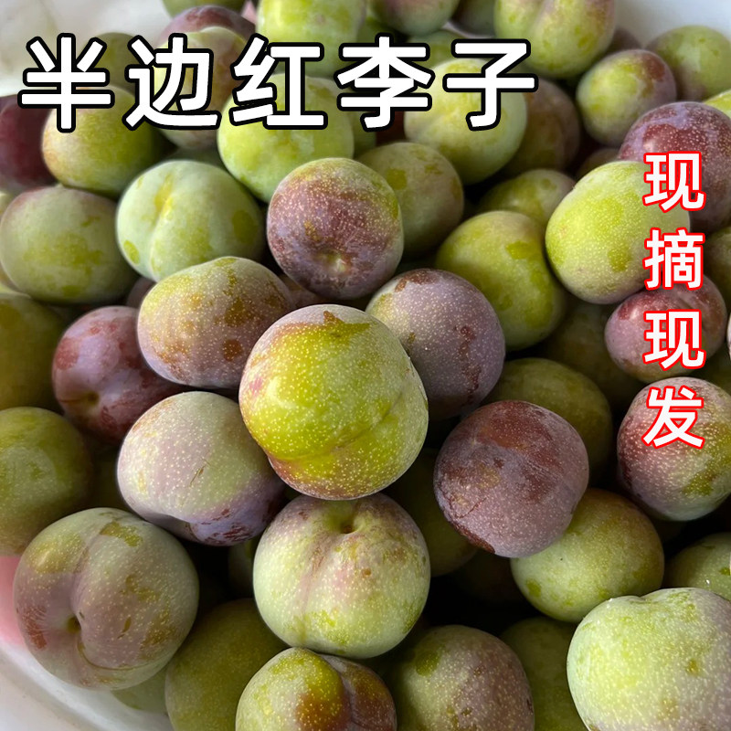 茵红李子现货四川宜宾半边红脱骨李子整箱应季新鲜现摘酸甜水果