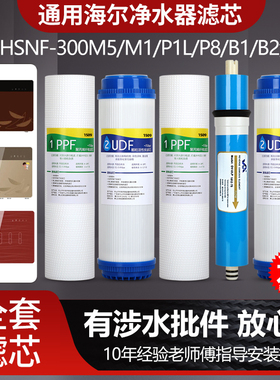 1509适配海尔施特劳斯净水器滤芯HSNF-300M5/M1/P1L/P8/B1/B2
