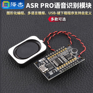ASR 串口一键下载 PRO语音识别模块AI离线语音开发板天问学习模块