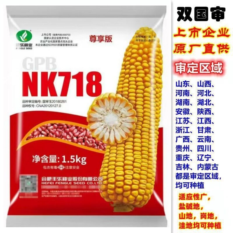 高产玉米种子大全矮棵大棒王大马牙四川湖北苞谷种抗病抗倒新品种
