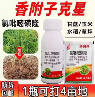 莎阔兵 氯吡嘧磺隆 水稻玉米甘蔗红薯莎草香附子烂根除草剂香附净